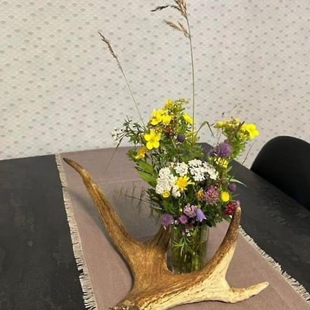 Familienfreundliche Farm Stuga Hamra  外观 照片